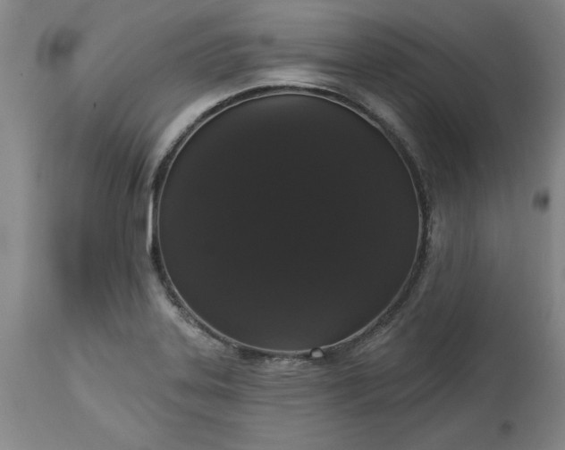 X0000113551323200910021521