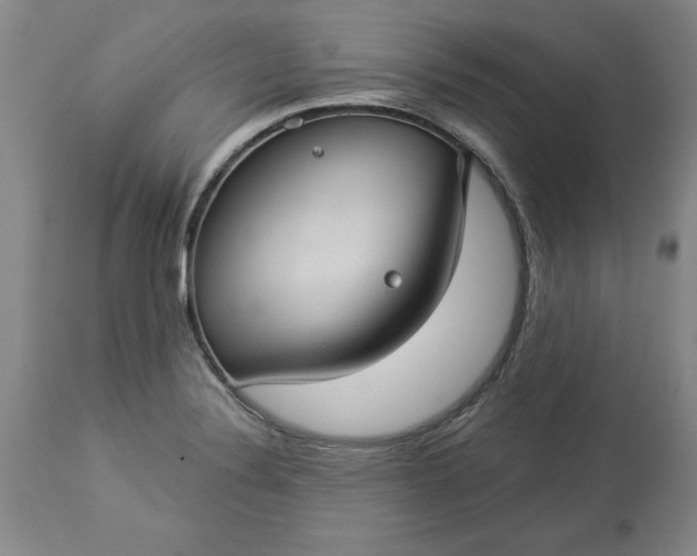 X0000113551324200910021521