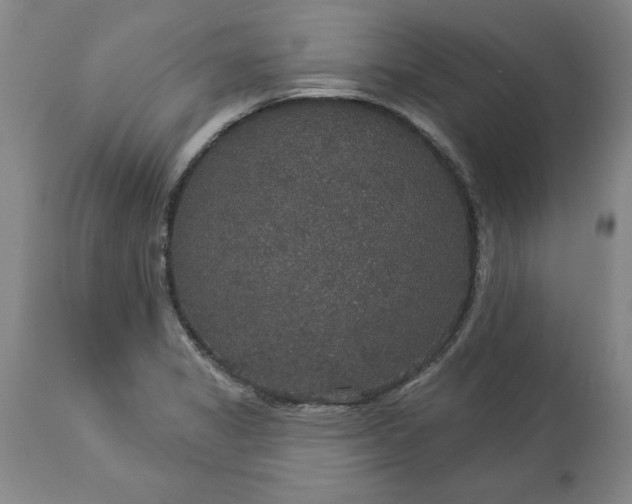 X0000113551325200910021521