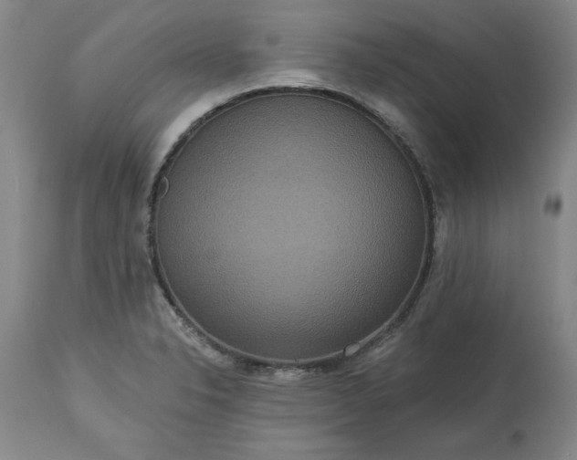 X0000113551326200910021521