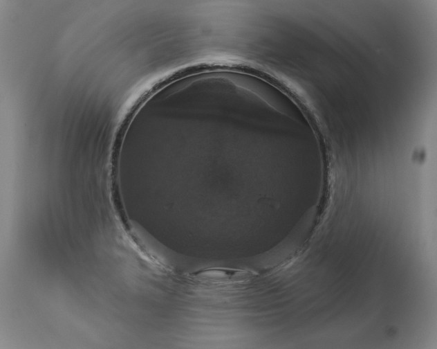 X0000113551327200910021521