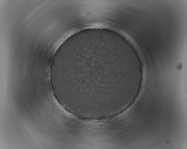 X0000113551329200910021521