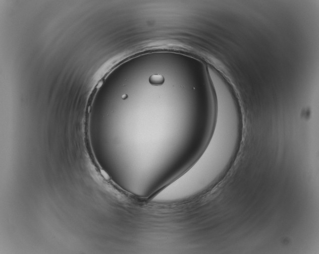 X0000113551330200910021521