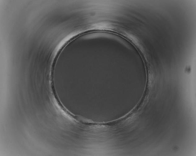 X0000113551331200910021521