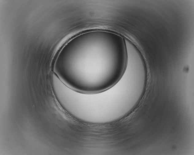 X0000113551332200910021521