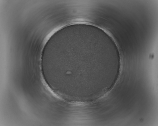 X0000113551333200910021521