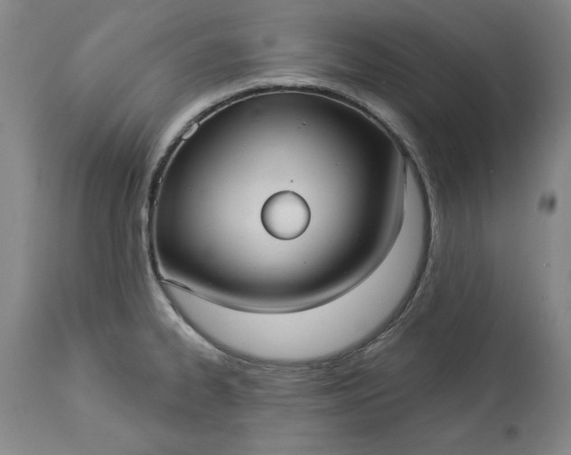 X0000113551334200910021521