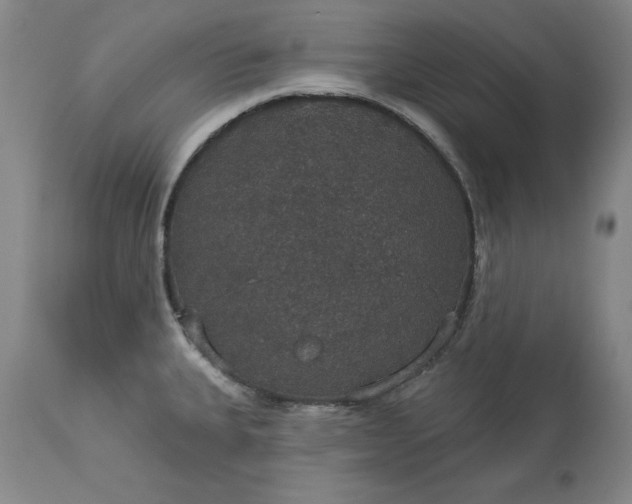 X0000113551335200910021521