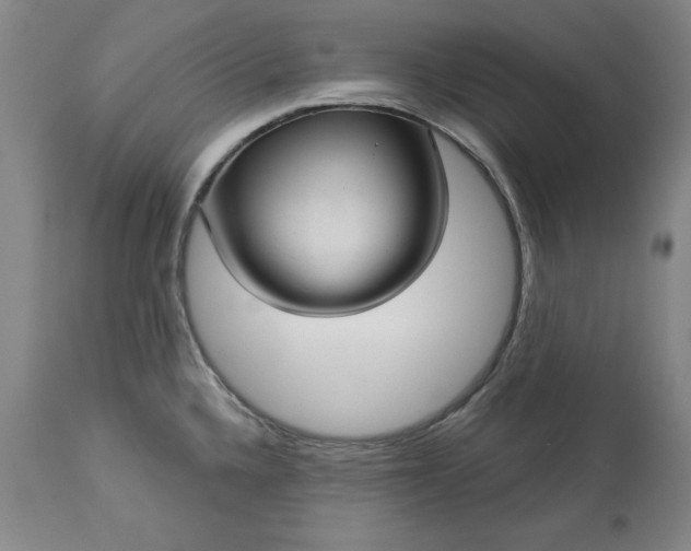 X0000113551336200910021521