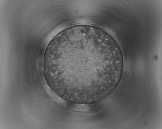 X0000113551338200910021521