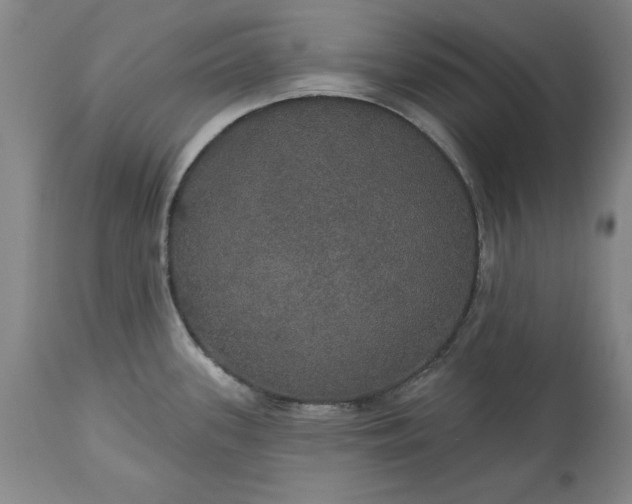 X0000113551339200910021521