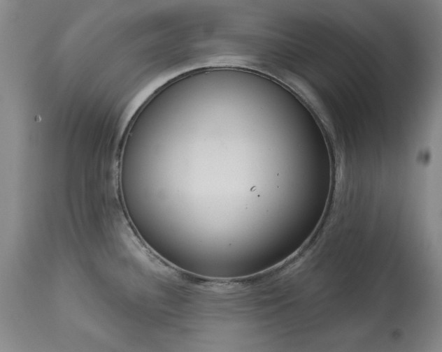 X0000113551340200910021521