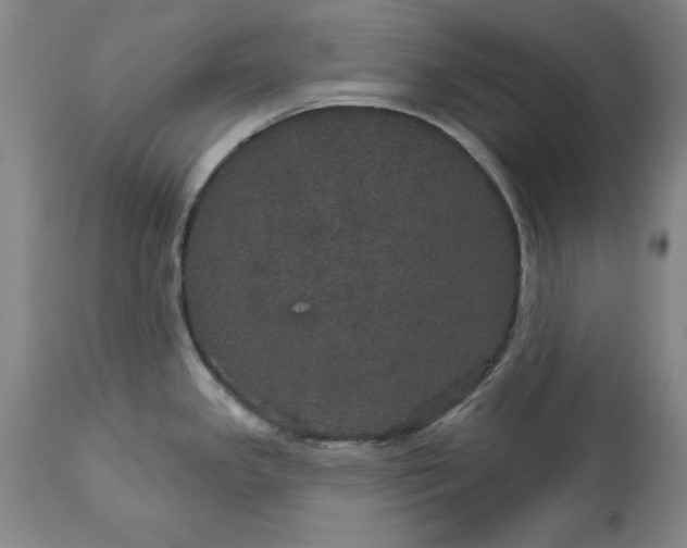 X0000113551341200910021521