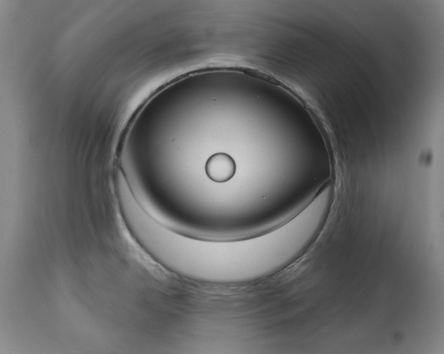 X0000113551342200910021521