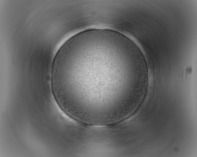 X0000113551343200910021521