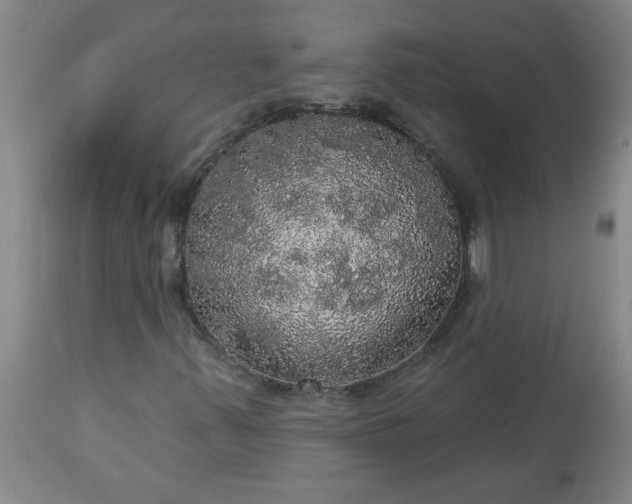 X0000113551347200910021521