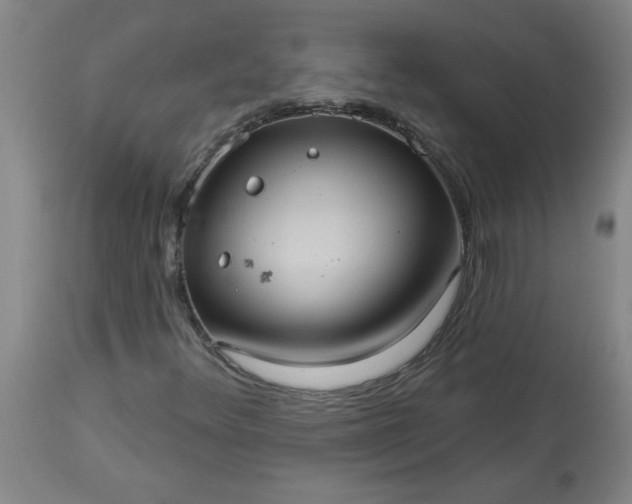 X0000113551348200910021521