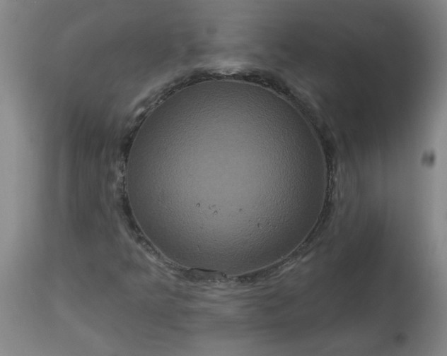 X0000113551349200910021521