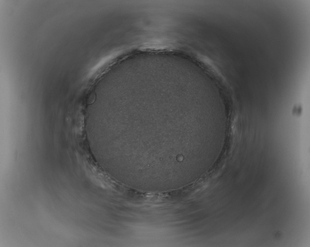 X0000113551350200910021521