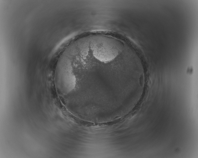 X0000113551351200910021521