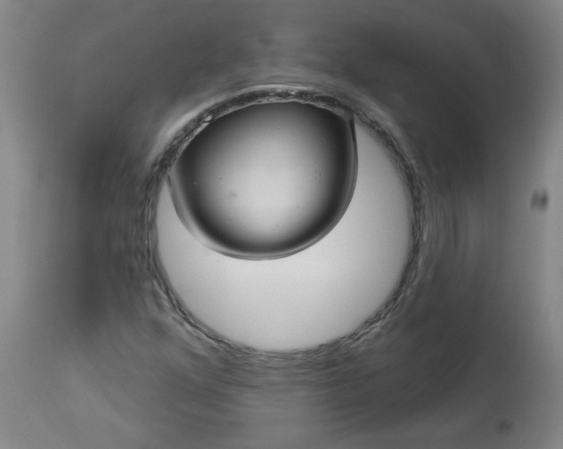 X0000113551352200910021520