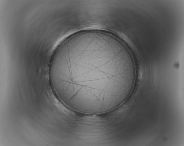 X0000113551356200910021520