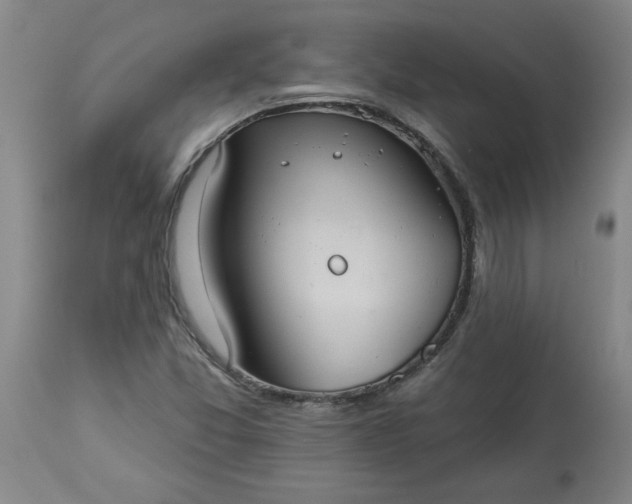 X0000113551357200910021520