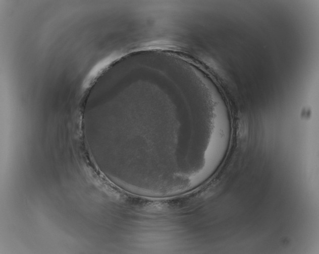 X0000113551358200910021520