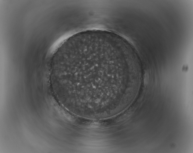 X0000113551359200910021520