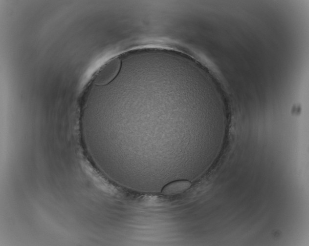 X0000113551360200910021520