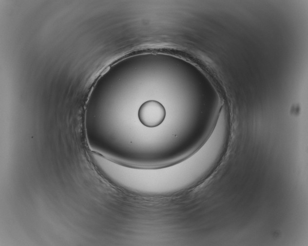 X0000113551361200910021520