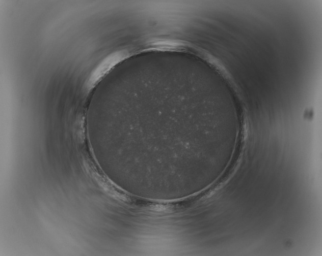 X0000113551362200910021520