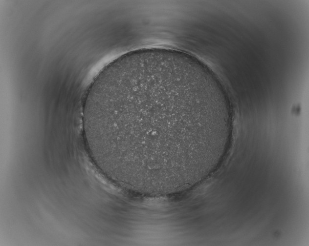 X0000113551363200910021520