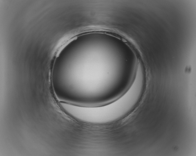 X0000113551365200910021520