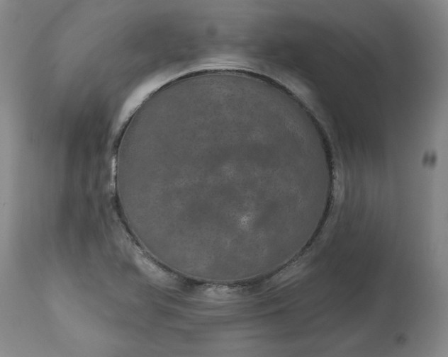 X0000113551366200910021520