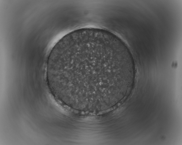 X0000113551367200910021520