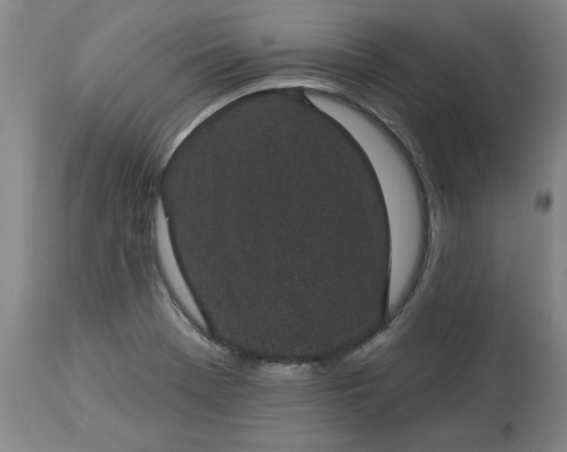 X0000113551369200910021520