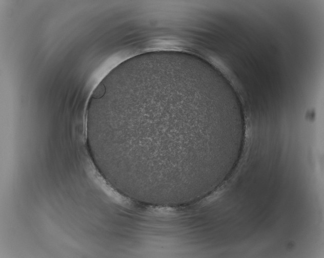 X0000113551370200910021520