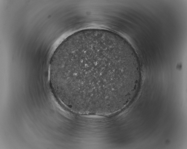 X0000113551371200910021520