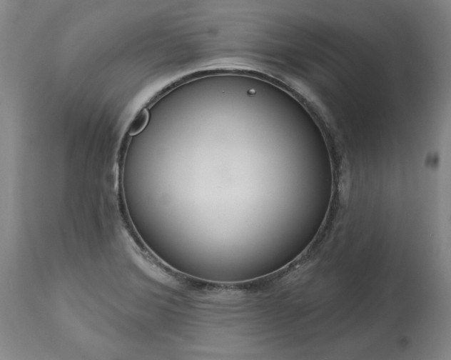 X0000113551372200910021520