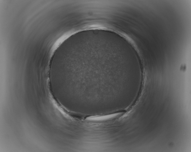 X0000113551373200910021520