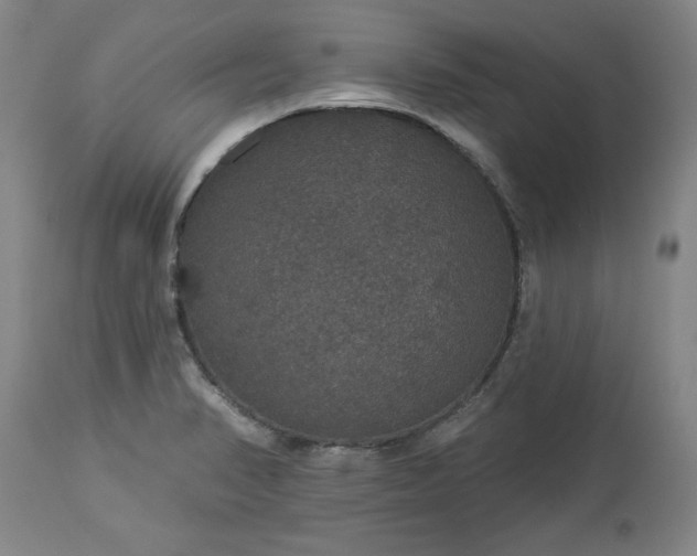 X0000113551374200910021520