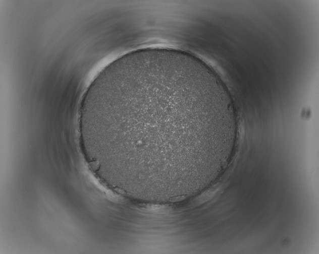 X0000113551375200910021520