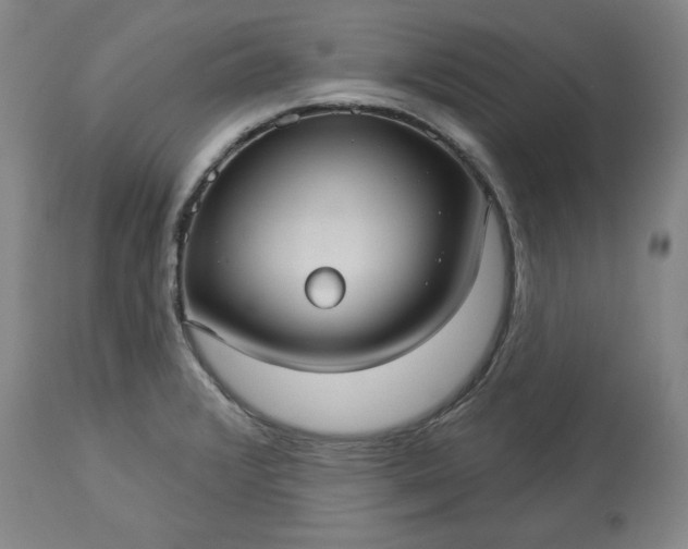 X0000113551376200910021520