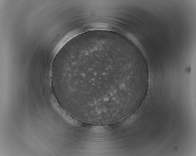 X0000113551378200910021520