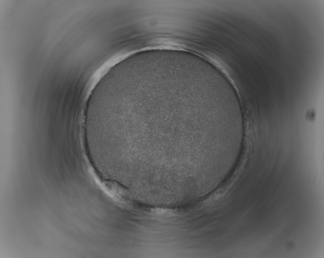 X0000113551379200910021520