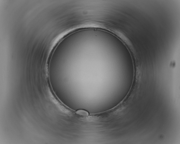 X0000113551380200910021520