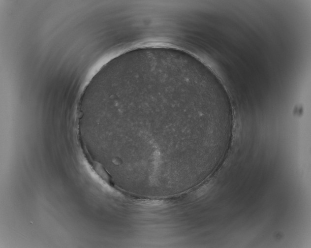 X0000113551382200910021520