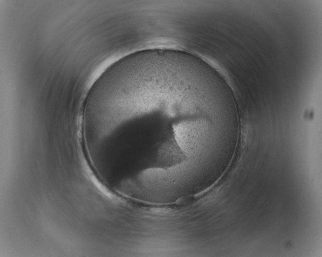 X0000113551383200910021520