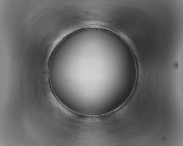 X0000113551384200910021520